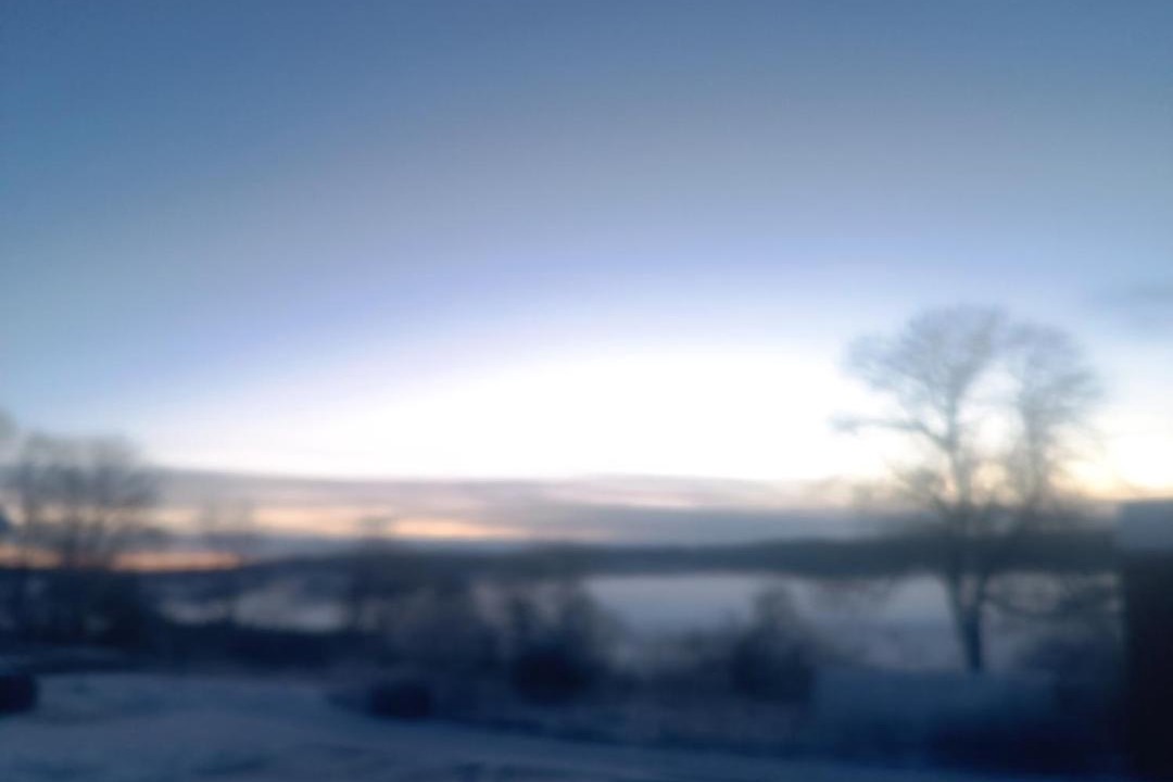 Photo of Others in Thiebouhans