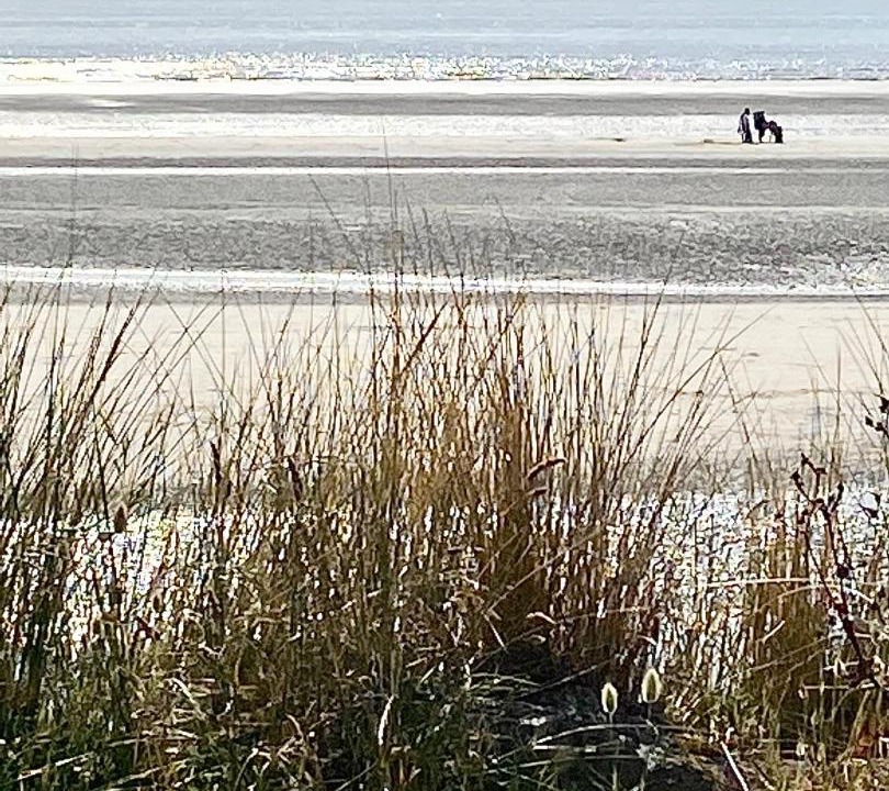 Photo of Others in Verlincthun