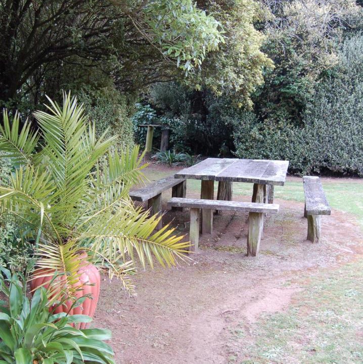 Photo of Outdoor in Ohangai