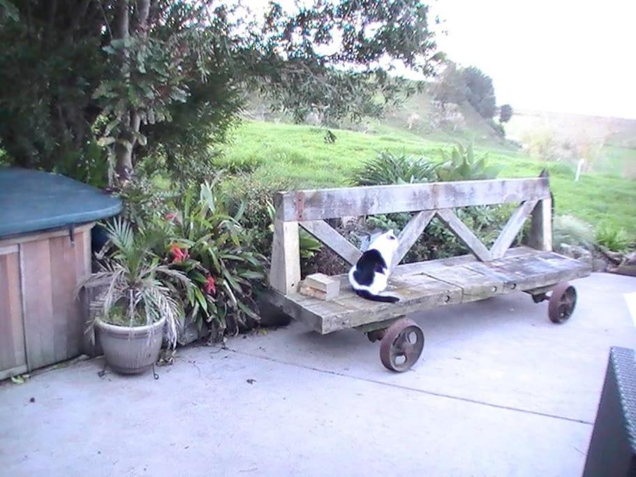 Photo of Others in Miranda