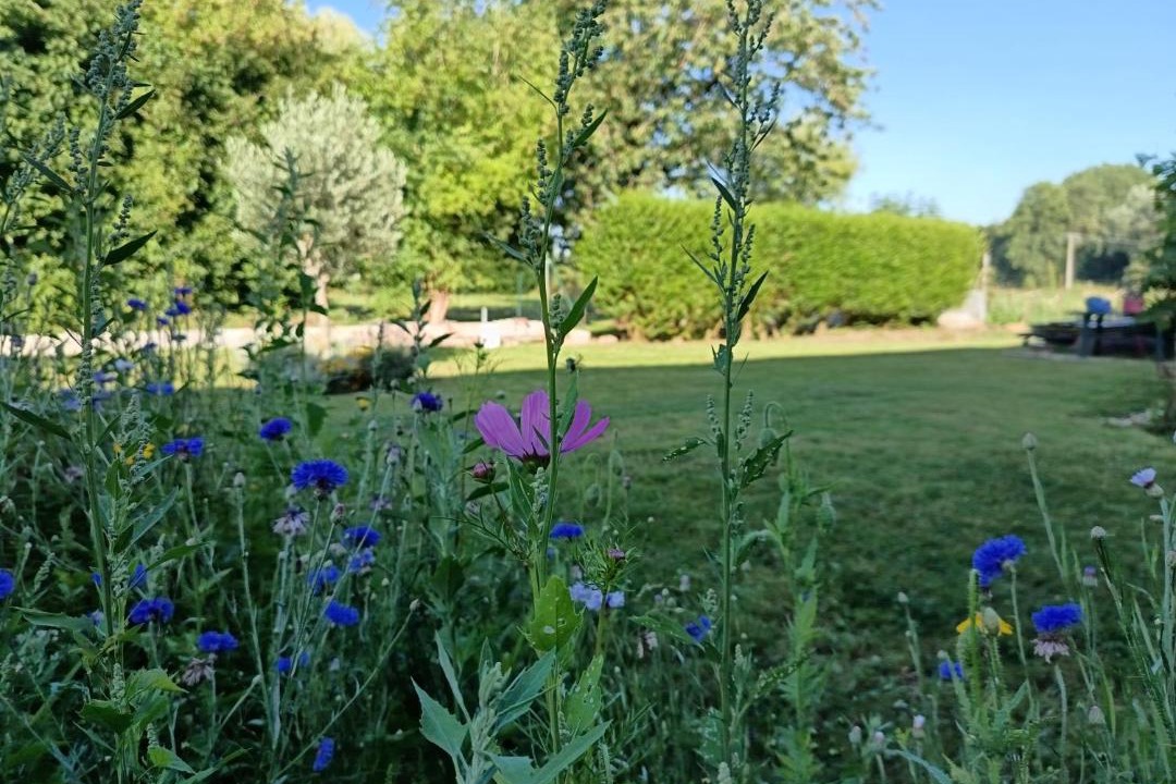 Photo of Others in Dernancourt