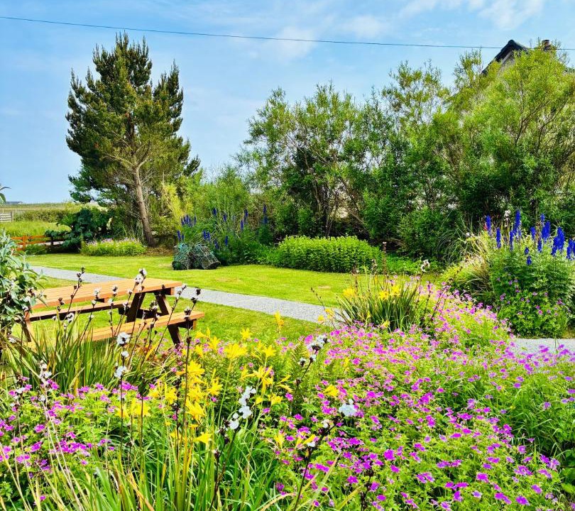 Photo of Others in Back