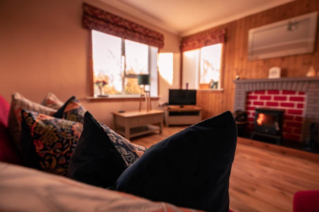 Photo of Others in Back