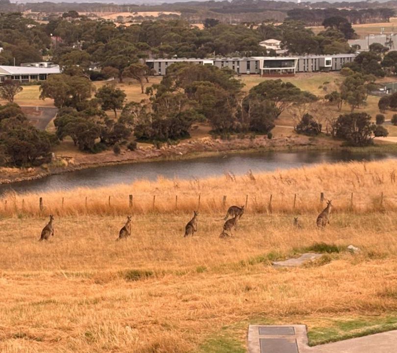 Photo of Others in Warrnambool