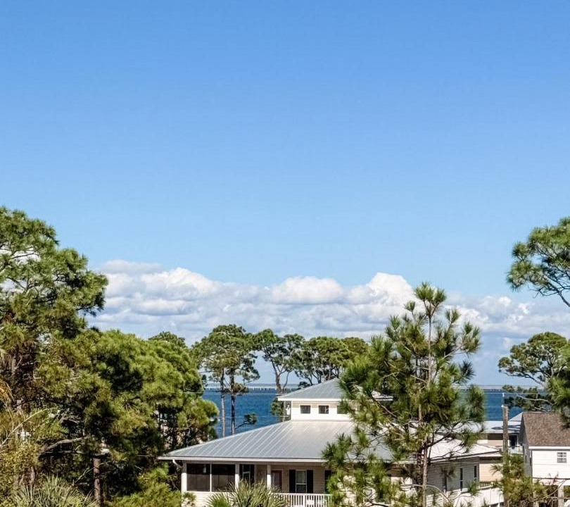 Photo of Others in St. George Island