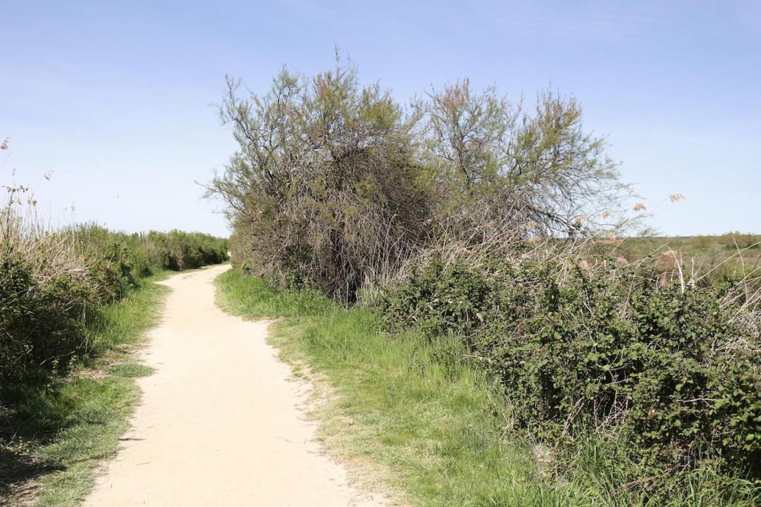 Photo of Outdoor in Audenge
