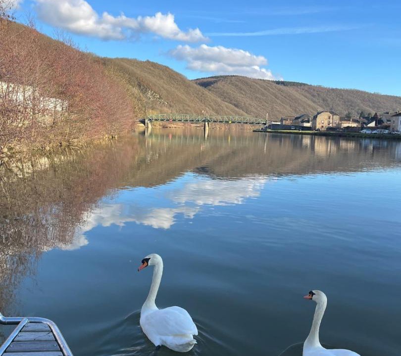 Photo of Others in Bogny-sur-Meuse