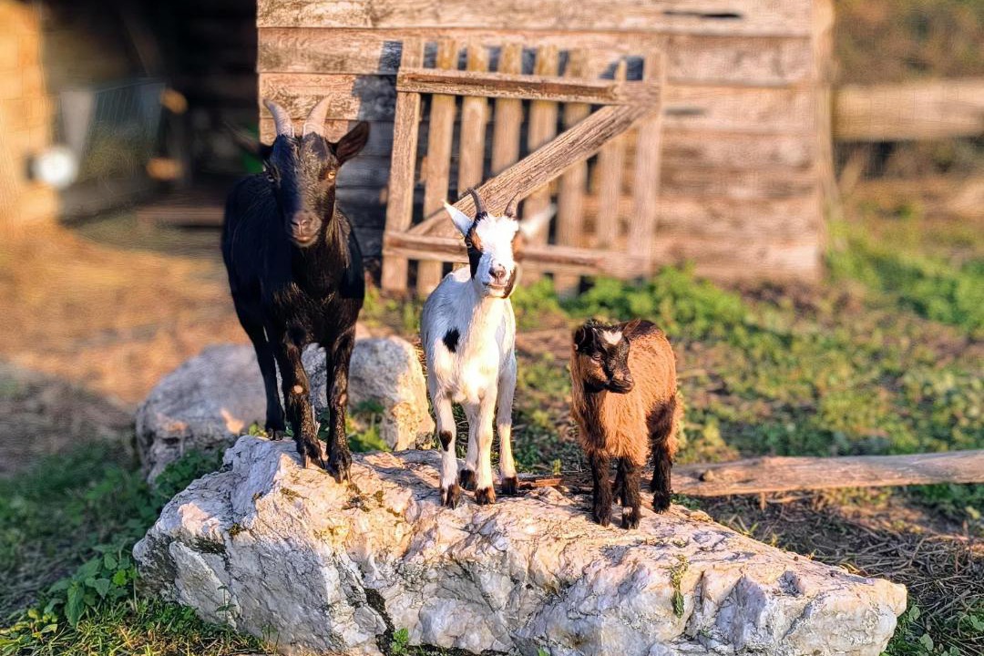 Photo of Others in Centres