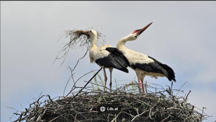 Photo of Others in Riedseltz
