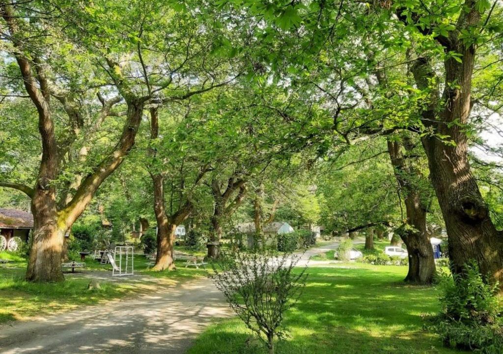 Photo of Others in Tibiran-Jaunac