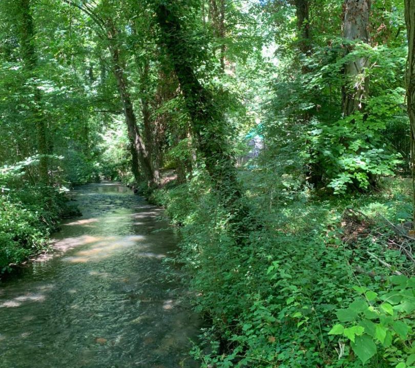 Photo of Others in Sery-Magneval