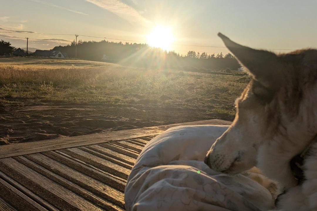 Photo of Others in Dornoch