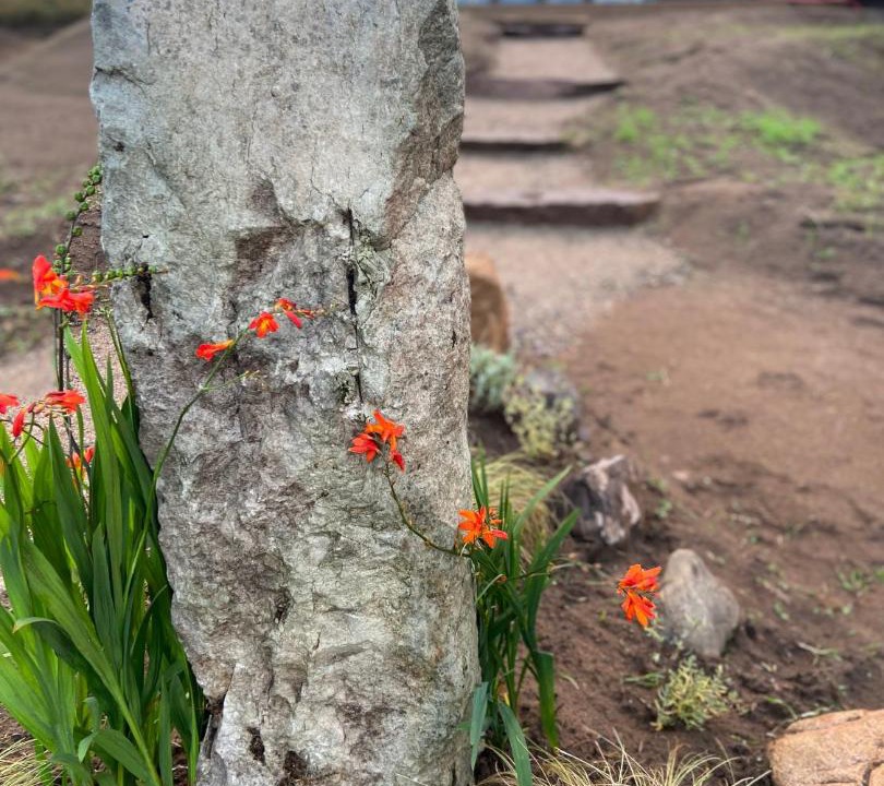 Photo of Others in Dornoch