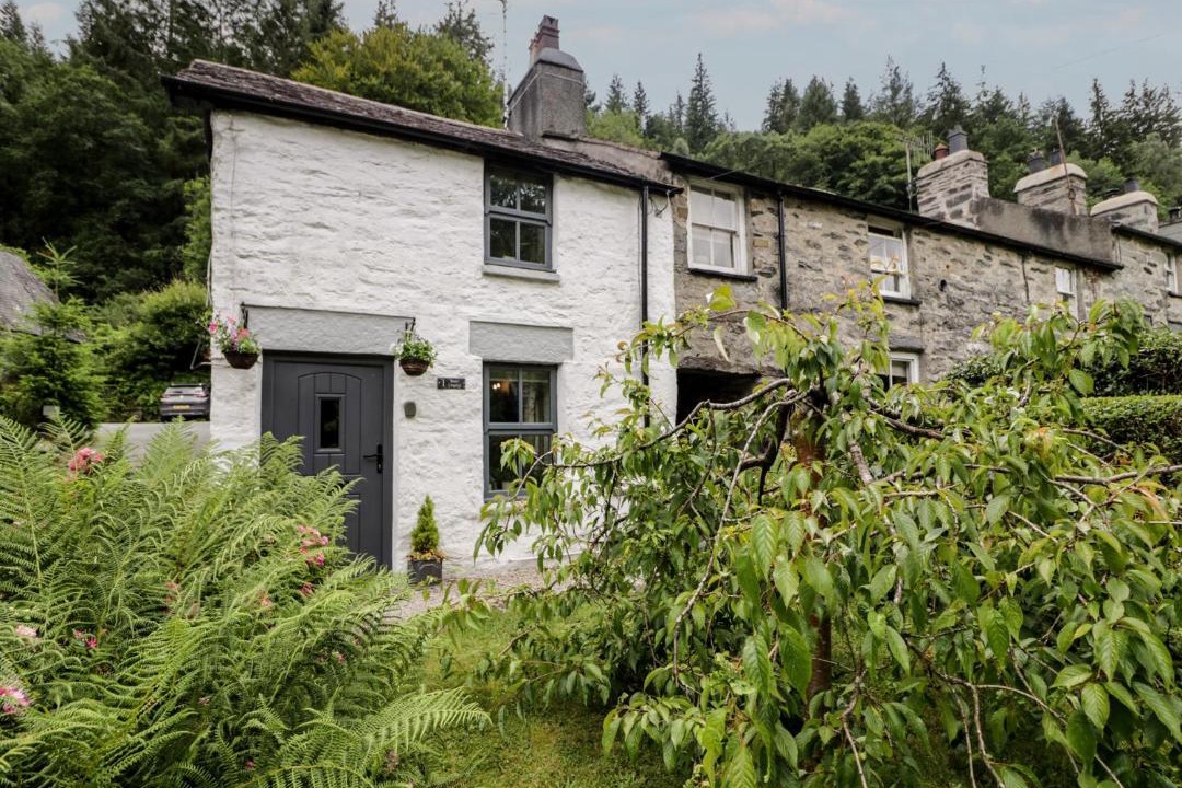 Photo of Others in Gwynedd- Snowdonia