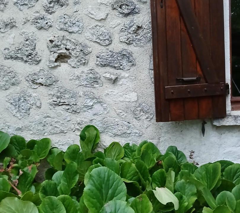Photo of Others in Montaigu-de-Quercy