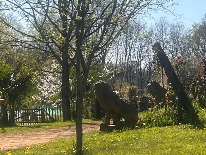 Photo of Outdoor in Montcabrier