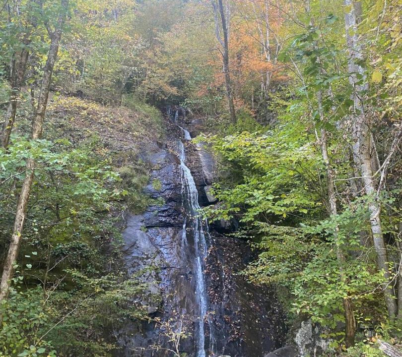 Photo of Others in Franklin