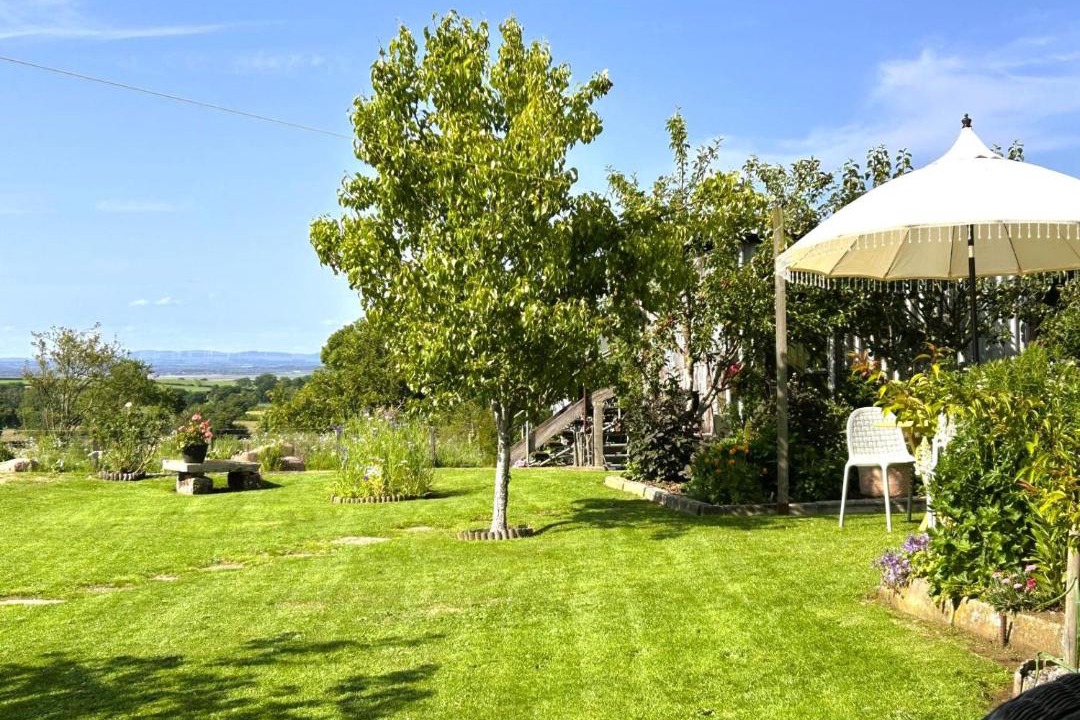 Photo of Others in Carlisle