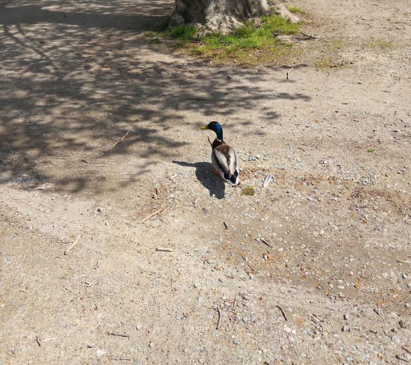 Photo of Others in La Ferte-Bernard