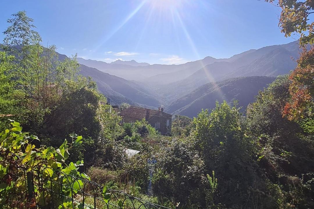 Photo of Others in Letia