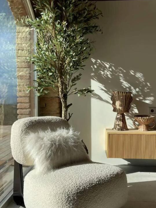 Photo of Livingroom in Collsuspina