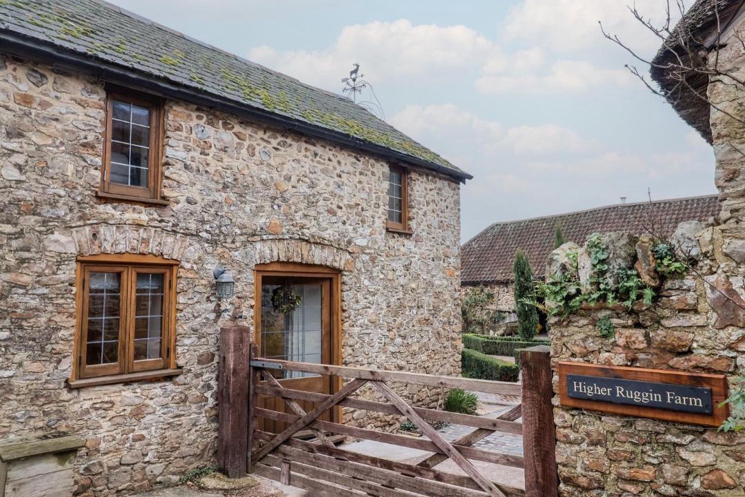 Photo of Others in West Buckland