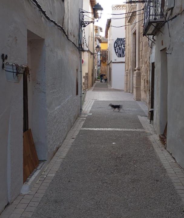 Photo of Others in Requena