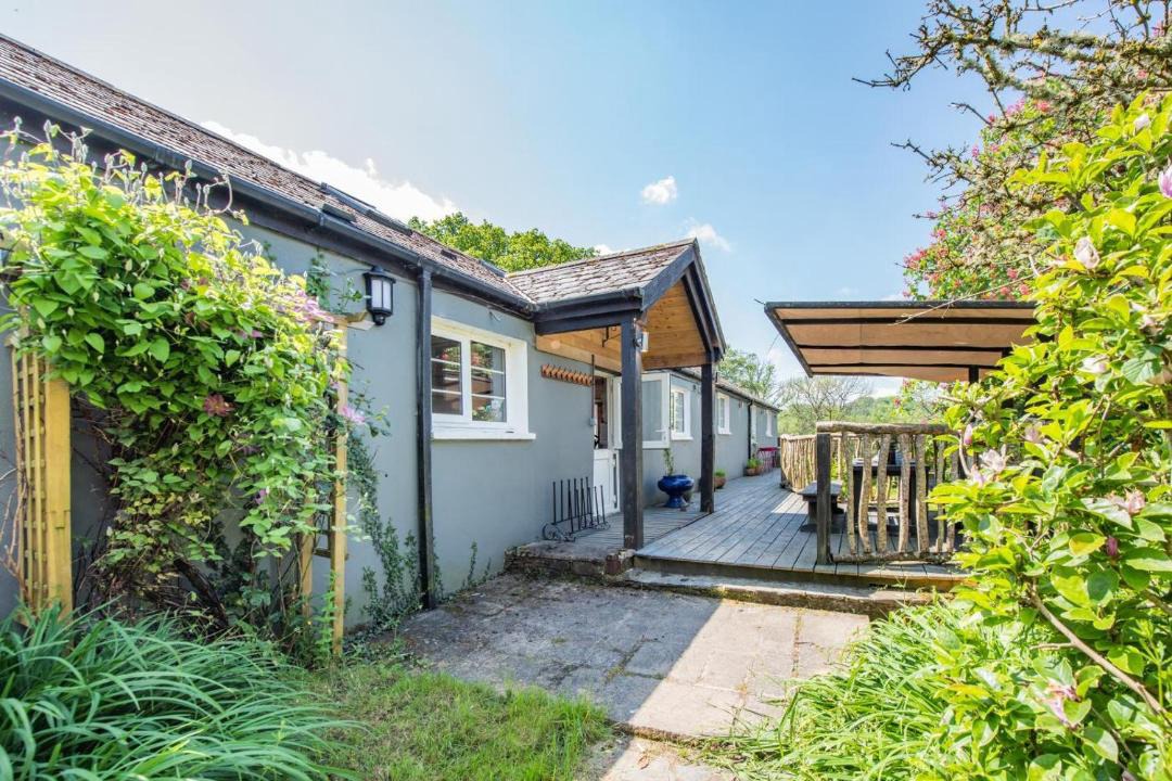 Photo of Others in Black Torrington