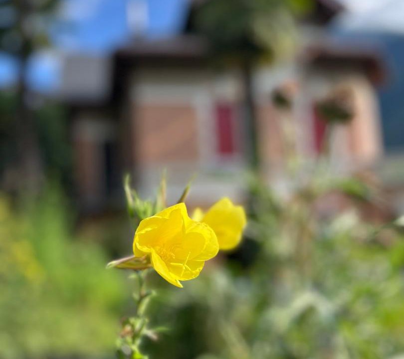 Photo of Outdoor in Semione