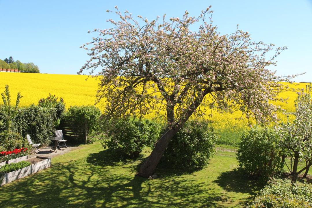 Photo of Others in Rødvig