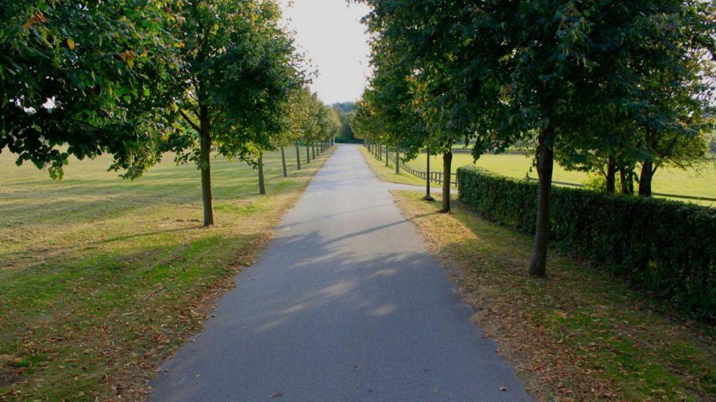 Photo of Others in Skovbyballe