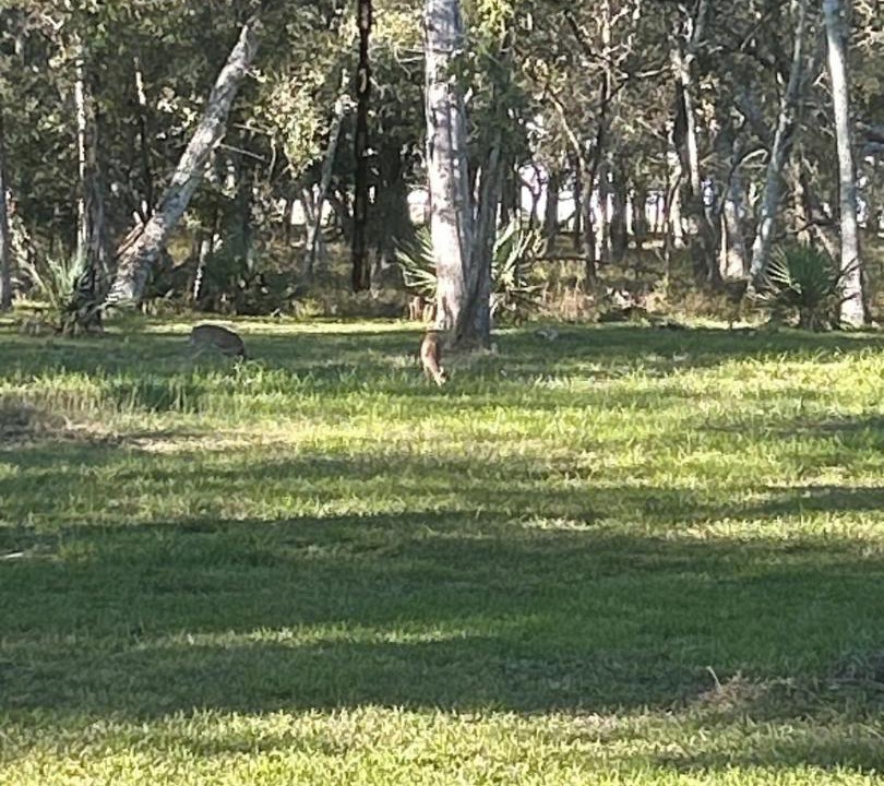 Photo of Outdoor in Damon