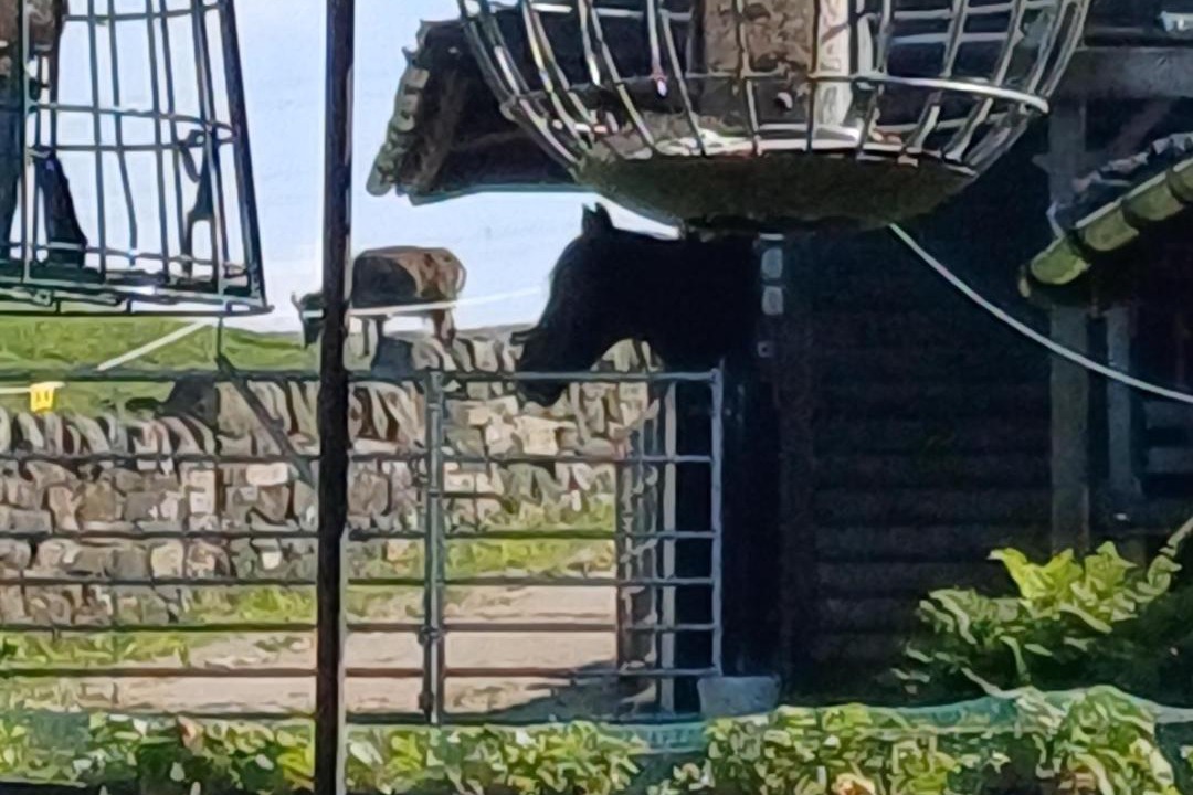 Photo of Others in Lumbutts