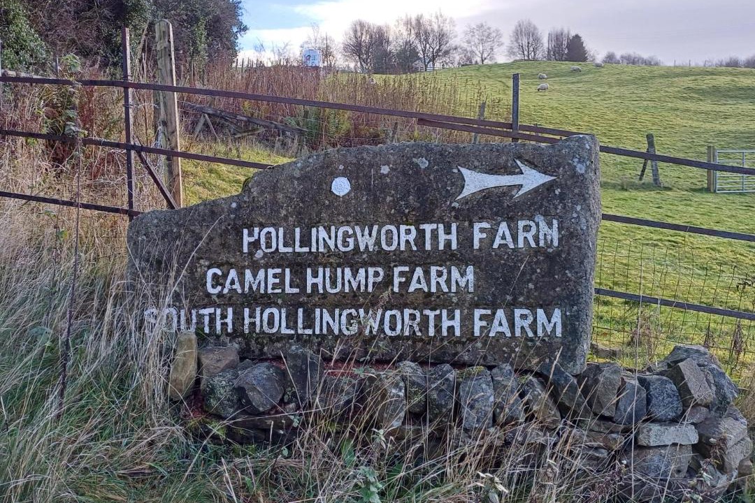 Photo of Others in Lumbutts