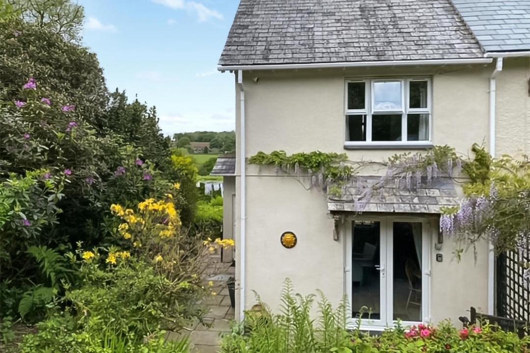 Photo of Others in Callington