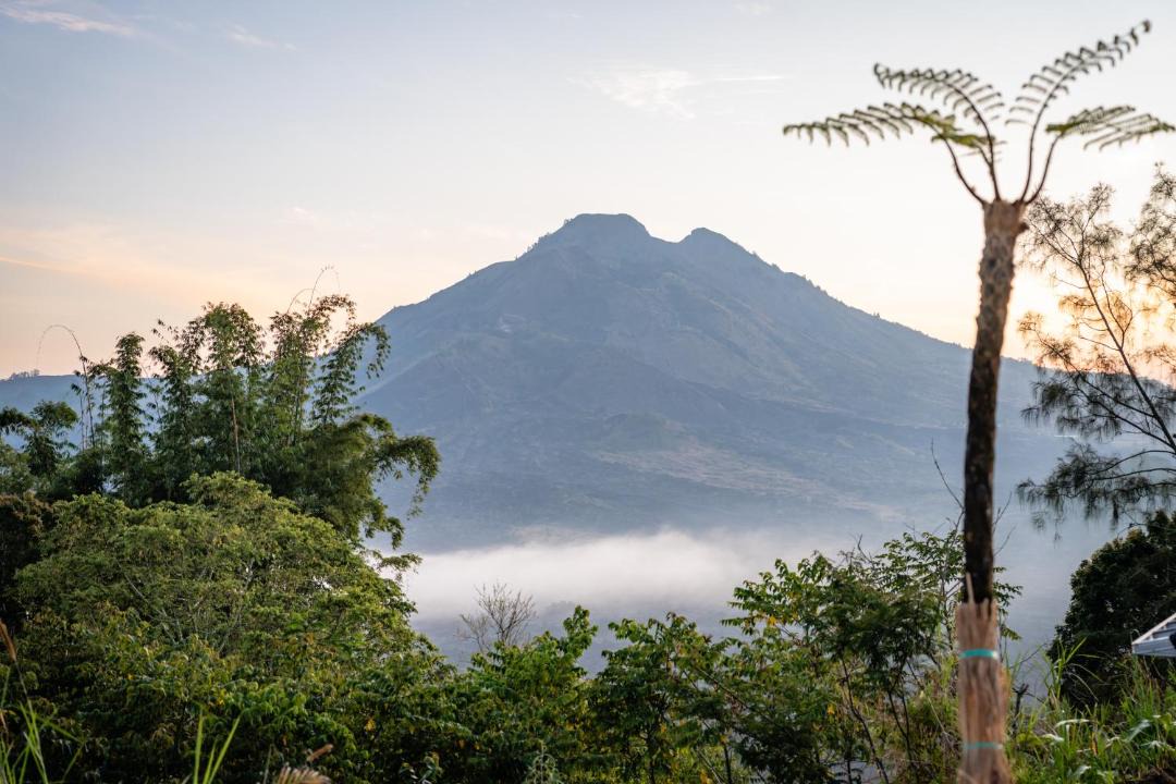 Photo of Others in Kintamani