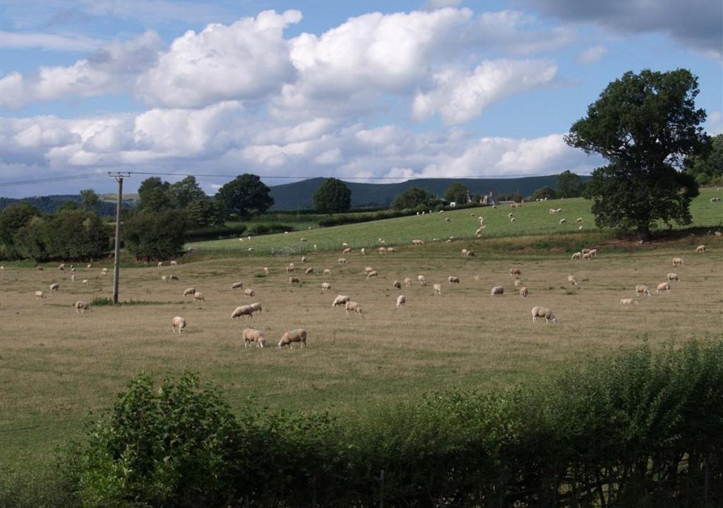 Photo of Others in Denstone