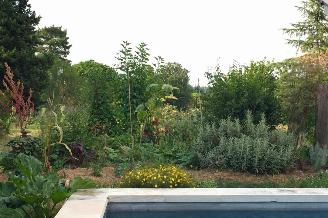 Photo of Others in Marssac-sur-Tarn