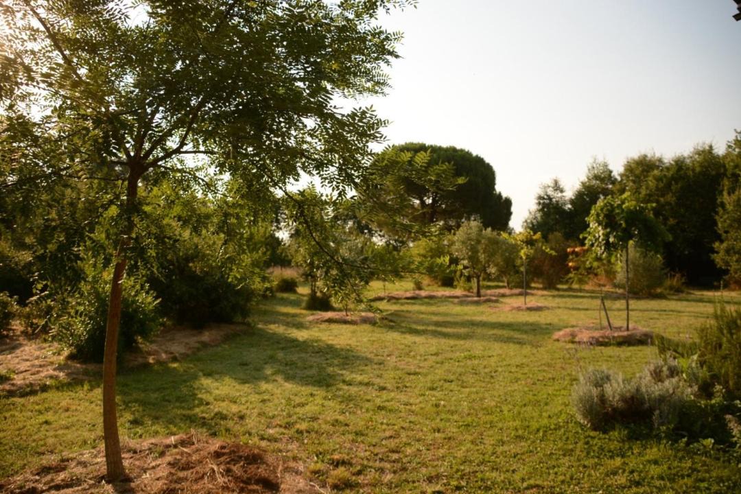 Photo of Outdoor in Marssac-sur-Tarn