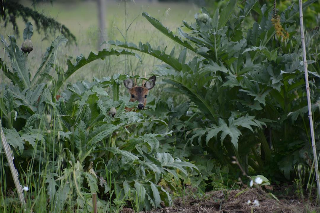 Photo of Others in Marssac-sur-Tarn