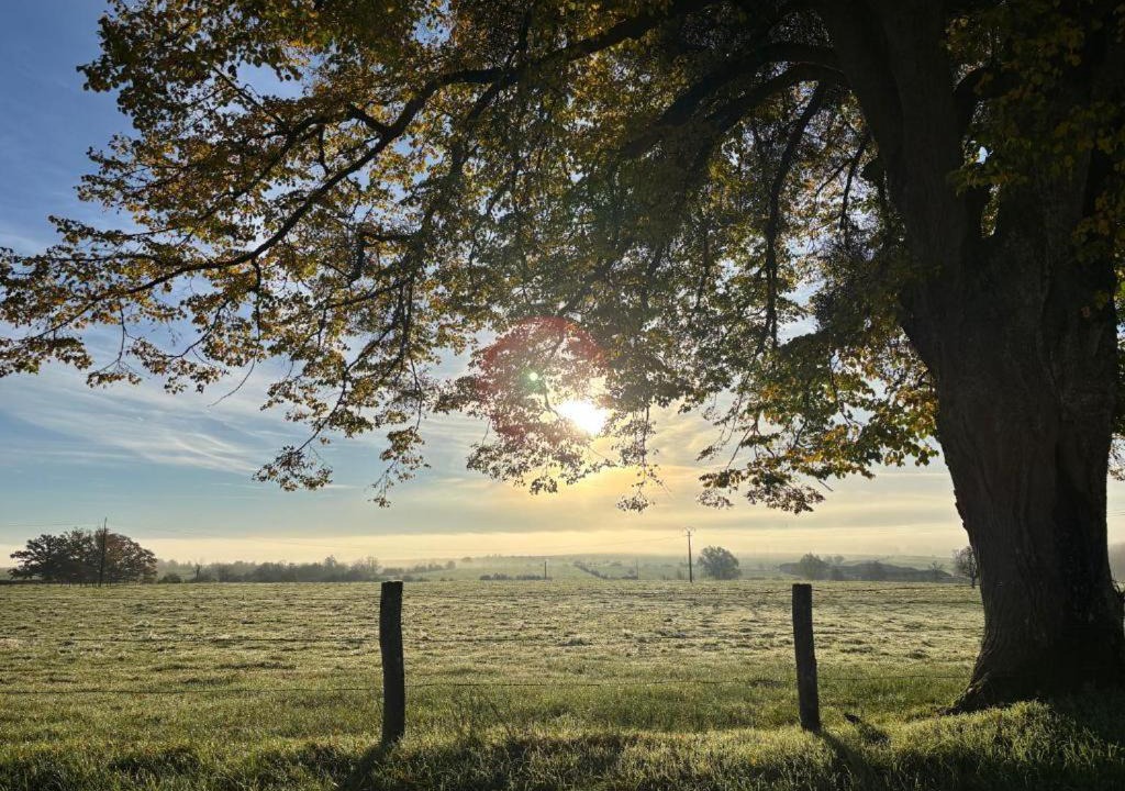 Photo of Others in Relanges