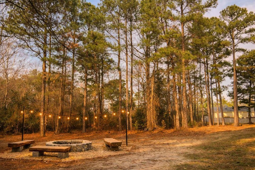 Photo of Others in Pine Forest