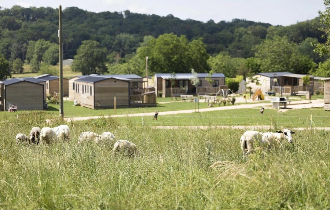 Photo of Others in Thegra