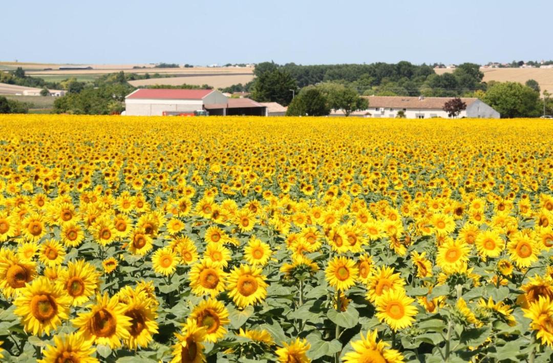 Photo of Others in Grezac