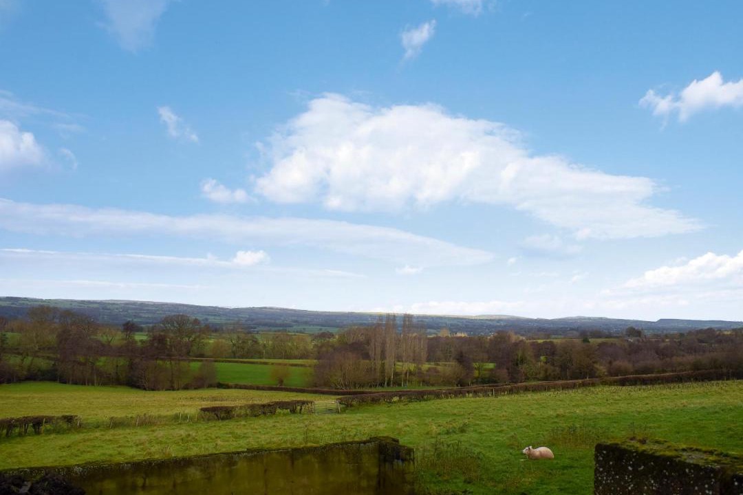 Photo of Others in Westbrook Court