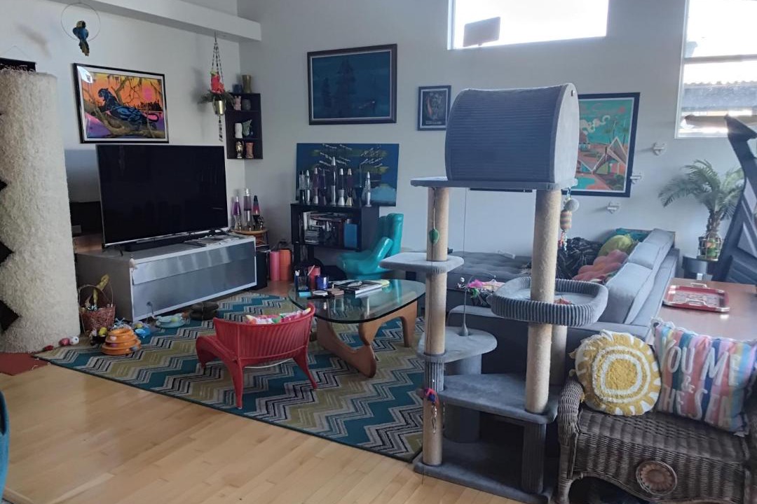 Photo of Livingroom in The Plaza