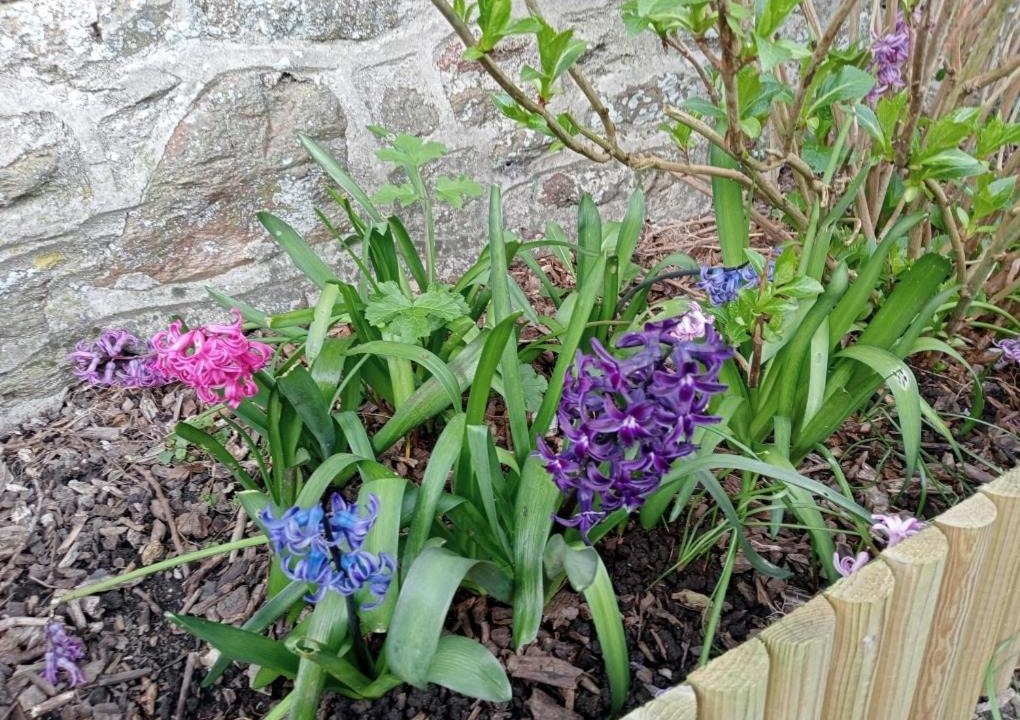 Photo of Outdoor in Hardanges