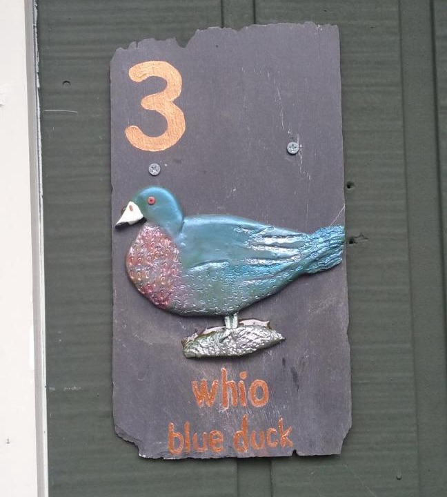 Photo of Others in Arthur's Pass