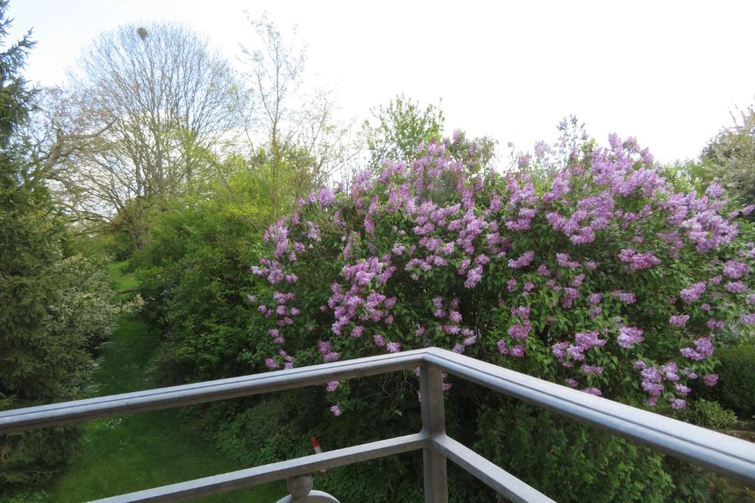 Photo of Patio Balcony in Sainte-Suzanne-and-Chammes