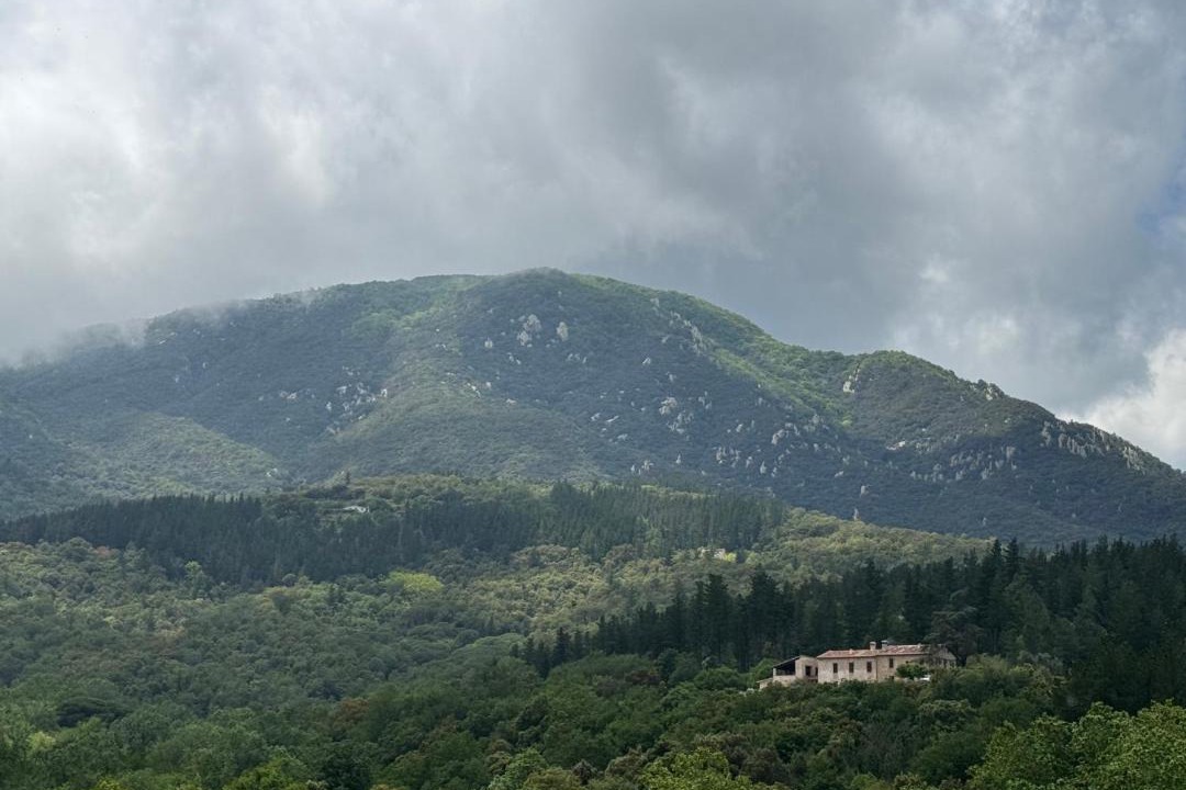 Photo of Others in Riells i Viabrea